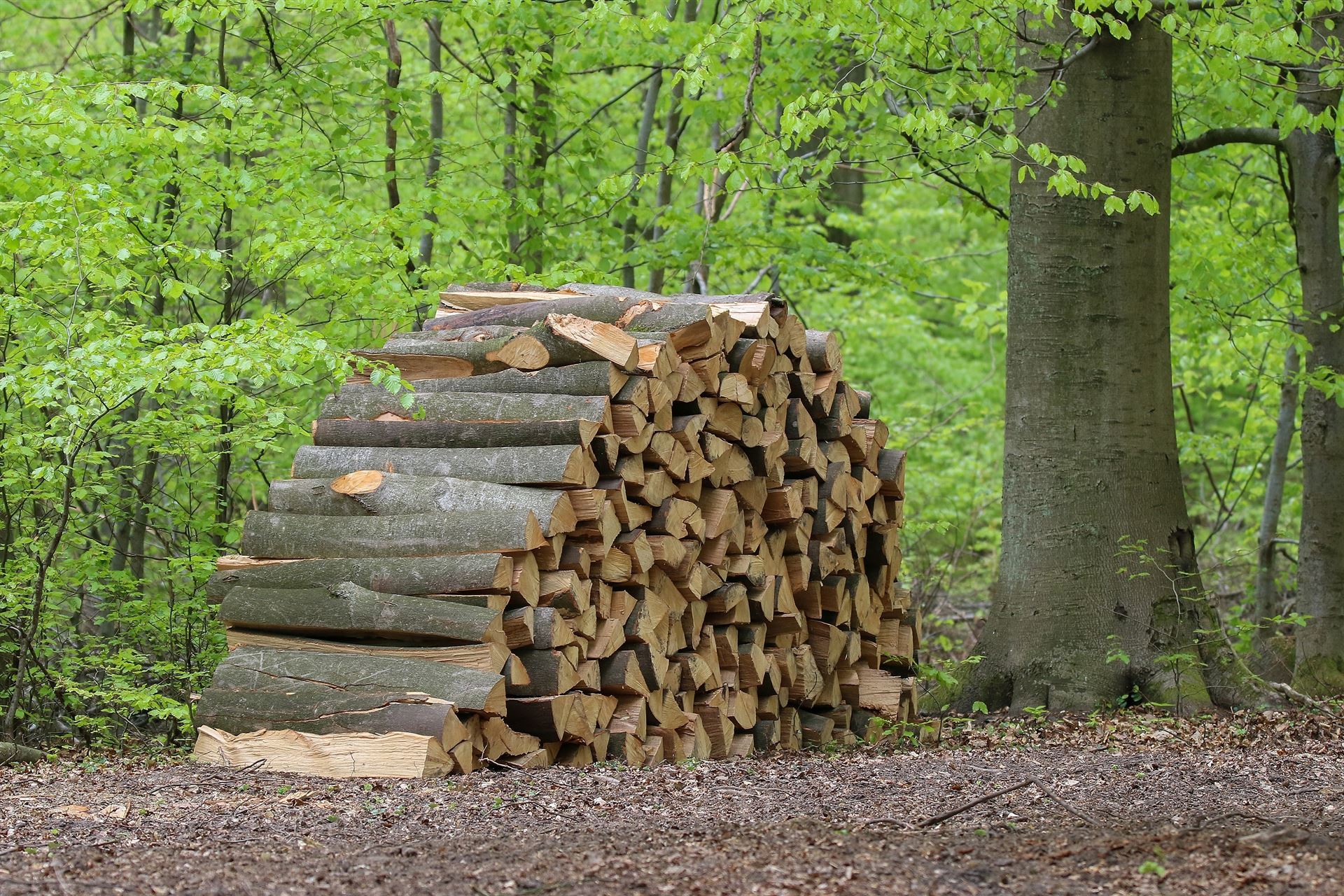 Bois de chauffage dans le Jura