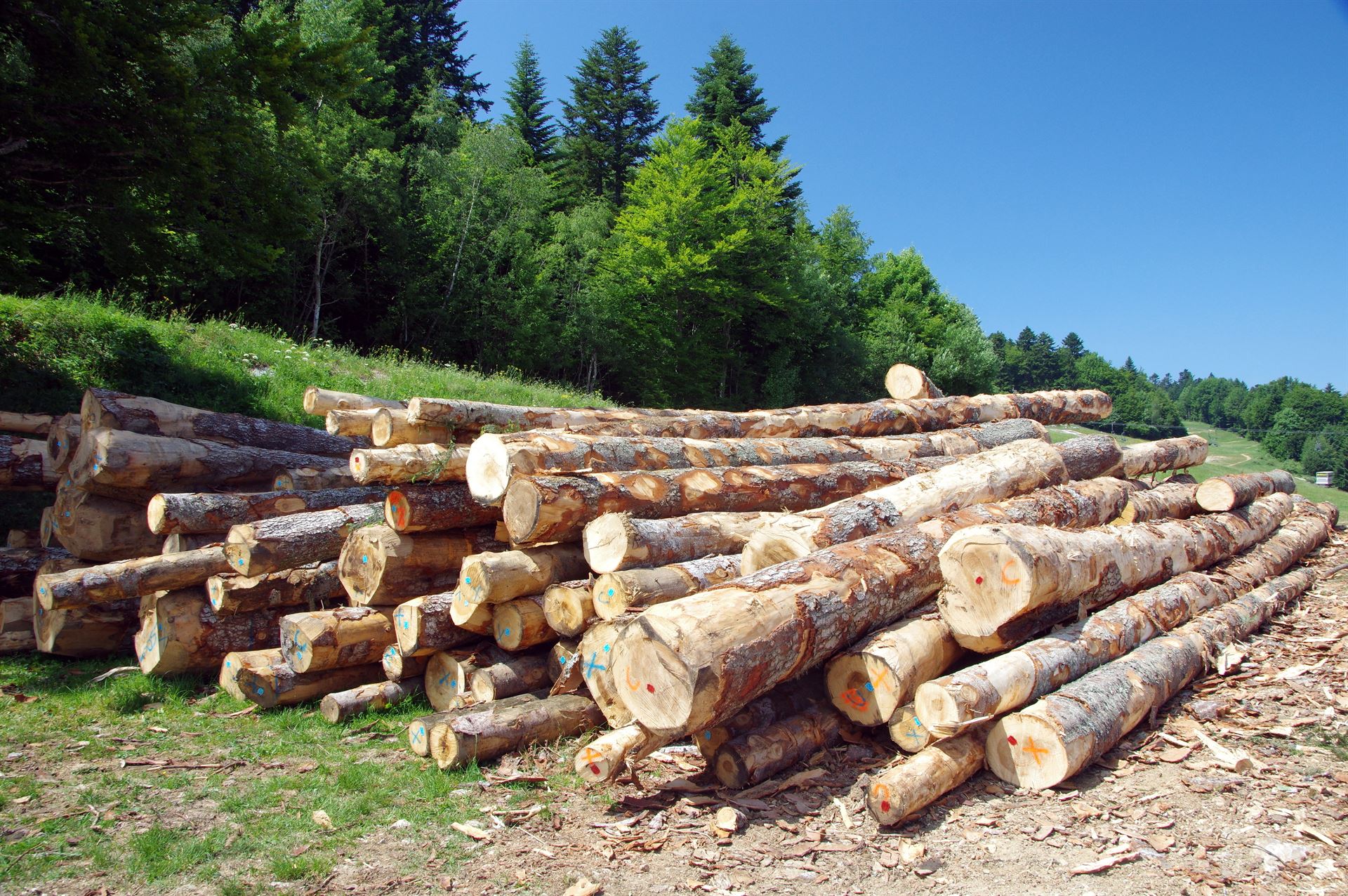 débardage dans le Doubs