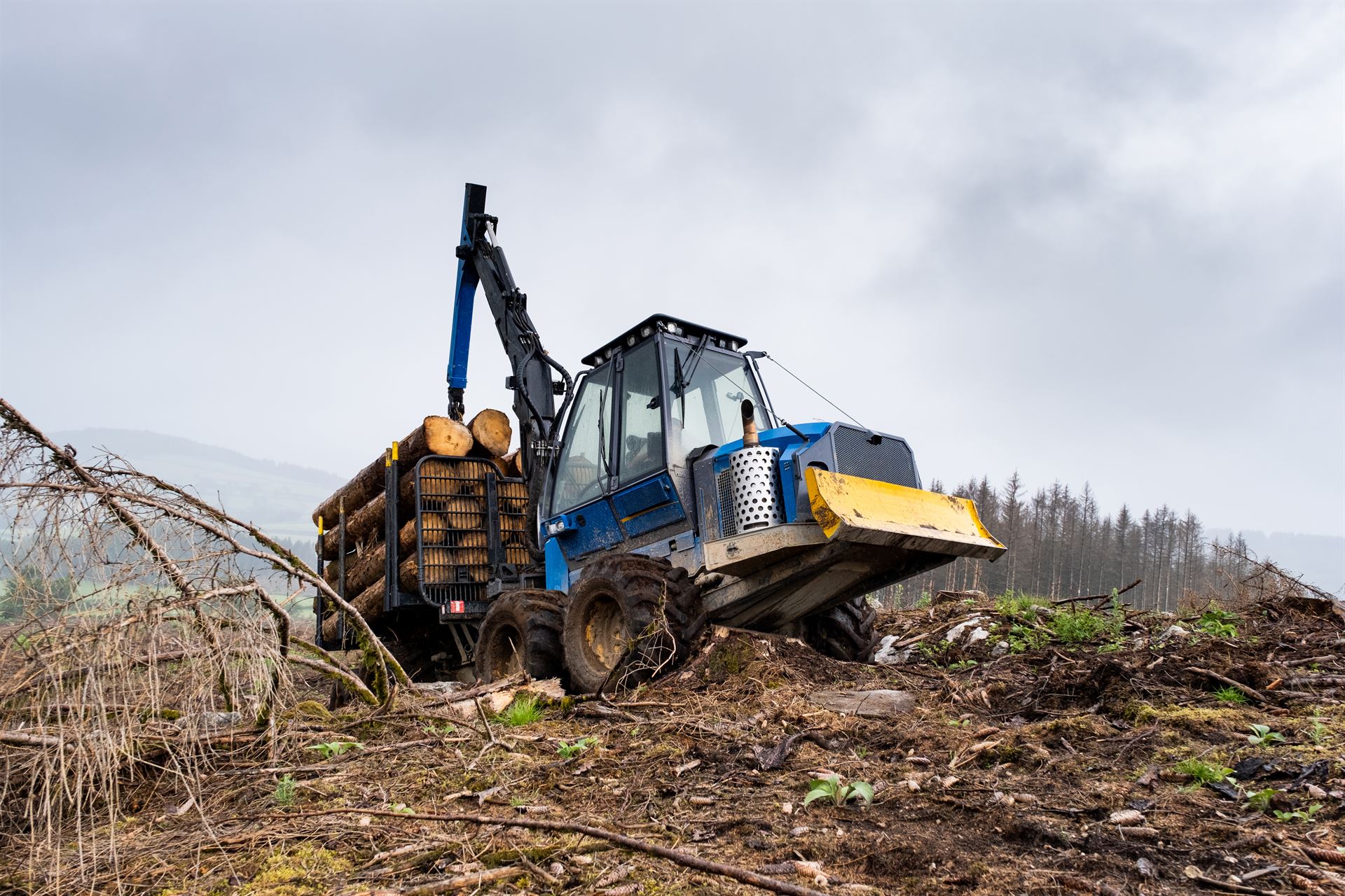 Entreprise de travaux forestiers dans le Jura